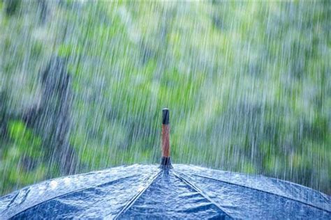 夢見落大雨|夢見下雨